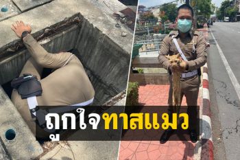 ชื่นชม! ตำรวจฮีโร่ถูกใจทาสแมวมุดท่อระบายน้ำช่วย \'น้องเหมียว\' ปลอดภัย