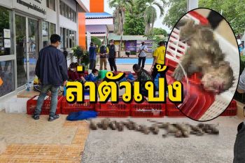 ปทส.เปิดเกมขยายผลเช็กบิล ขบวนการลอบ‘ขนลิงข้ามชาติ’