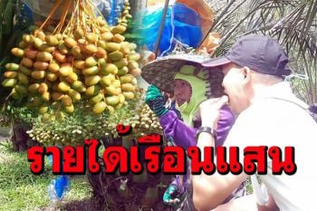 หนุ่มใหญ่โฟร์แมนทิ้งเงินเดือน 3 หมื่นผันชีวิตปลูกอินทผลัมรายได้เรือนแสน