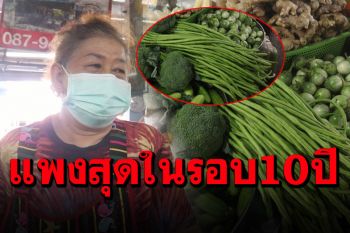 พุ่งทะลุเพดาน! ‘ถั่วฝักยาว’ ราคาแตะกิโลละ150 บาท ในรอบ 10 ปี