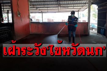 ปศุสัตว์เตือนเฝ้าระวัง! ไข้หวัดนกH10N3 หลังชาวจีนติดเชื้อรายแรกของโลก