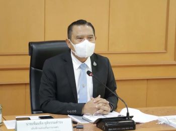 เกษตรฯเดินหน้าปราบโรคใบด่างมันสำปะหลัง  เน้นตัดวงจรคุมพื้นที่ระบาด-แนะชาวไร่ใช้พันธุ์สะอาด