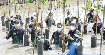 สาทรร่วมปลูก‘ต้นโกงกาง’ พัฒนาป่าชายเลนตามศาสตร์พระราชา
