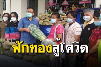 ชาวกะเหรี่ยงขน ‘ฟักทอง’ 1 ตัน มอบให้ผู้ว่าฯ ช่วย รพ.ใน จ.อุทัยธานี