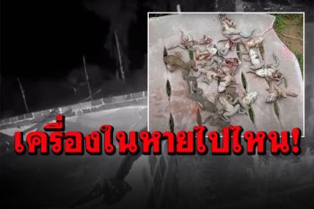 ผวา! กบในฟาร์มตายปริศนาแบบไร้เครื่องใน เปิดกล้องวงจรปิดพบแสงไฟประหลาด (คลิป)