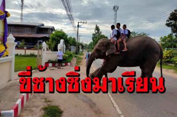 แบบนี้โลกจำ! โลกโซเชียลแห่แชร์ภาพความน่ารัก \'เด็กสุรินทร์ขี่ช้างไปโรงเรียน\'