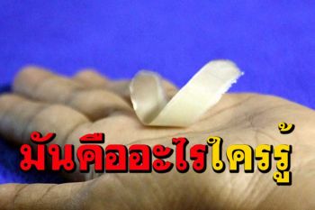 คืออะไร?คล้ายสิ่งมีชีวิตเคลื่อนไหวได้เมื่อสัมผัสมือ เจ้าของเผยเกจิบอกเกล็ดพญานาค