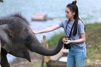 ‘ติ๊ต๊ะ-ชญานิศ’ก้าวสู่บทนางเอกเต็มตัวใน ‘แก่นแก้ว’ ช่อง 3