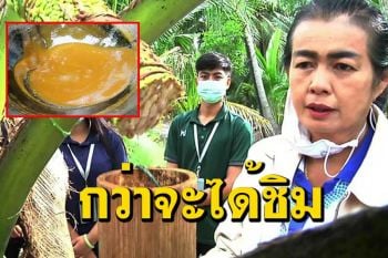 วันหยุด! ไปชิมน้ำตาลดอกมะพร้าวแม่ลำไย ปลูกระบบอินทรีย์ปลอดสารเคมี