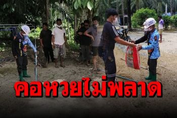 ชาวบ้านแตกตื่น ‘งูสิงดงยักษ์’ บุกบ้านคอหวยไม่พลาดส่องเลขเด็ด