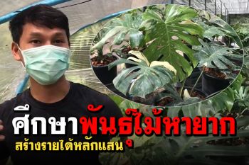 สุดทึ่ง! หนุ่มออแกไนซ์เมืองช้าง ขยายพันธุ์ไม้หายาก สร้างรายได้หลักแสน (คลิป)