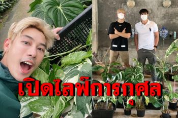 \'เคน ภูภูมิ\'เปิดประมูลต้นไม้เพื่อการกุศล มอบเงินบริจาคให้รพ.ปัตตานี