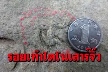 ค้นพบ‘รอยเท้าไดโนเสาร์’ เล็กจิ๋วสุดเท่าที่เคยพบมาใน\'จีน\'