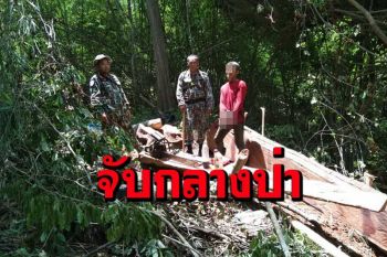 อช.ไทรโยคจับหนุ่มใหญ่กลางป่าลอบตัดไม้เถื่อนยึดของกลางมูลค่ากว่า 4 หมื่น