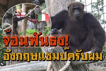 \'เจ้าจ้อน\'ไม่เปลี่ยนใจ! เสี่ยงทายอีกรอบ เลือกอังกฤษคว้าแชมป์บอลยูโร2020