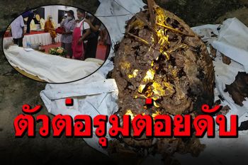 ต่อมรณะ! รุมต่อยแม่เฒ่าวัย86ในสวนกล้วย หามส่งรพ.เสียชีวิต หลานชายเข้าช่วยโดนต่อยเจ็บ