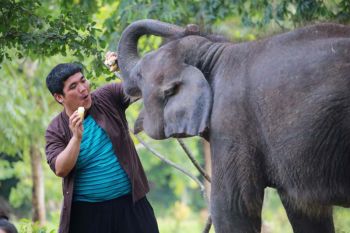น่ารักซะไม่มี!! ‘พุดซ้อน’ ช้างน้อยขโมยใจคนดู  ในละคร ‘แก่นแก้ว’ ช่อง 3
