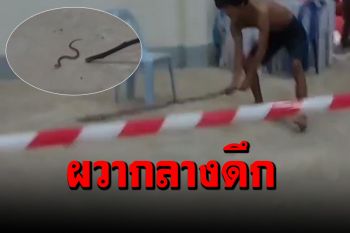 ผู้กักตัวโควิดผวา! นอนอยู่ดีๆ งูเลื้อยเข้ามากระโดดหนีกระเจิง