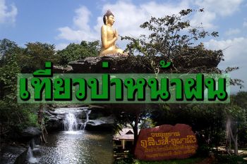 โควิดหายแล้วไปกัน! เที่ยวป่าหน้าฝน ชมทะเลหมอก\'ยอดภูสิงห์-ภูผาผึ้ง\'อำนาจเจริญ