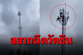 พ่อเลี้ยงเดี่ยวคลั่งปีนเสาสูง60เมตร บ่นเมียทิ้ง-อยากฉีดวัคซีน
