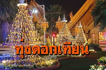 อาชีวะอุบลฯเนมรมิตร \'ทุ่งดอกเทียน\'สว่างไสวทั่ววัดมหาวนาราม สืบสานวัฒนธรรมอีสาน