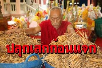 \'หลวงพ่อแป๊ะ\' เกจิดังเมืองนครปฐมปลุกเสกสมุนไพรไทยแจกชาวบ้านต้านโควิด