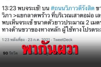 โอ้วมายก๊อด! มีคนแจ้งพบจระเข้2เมตร บนถนนวิภาวดีรังสิต