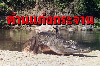 กลุ่มนักสิทธิฯ‘ยูเอ็น’ค้าน‘ยูเนสโก’รับรองมรดกโลก‘แก่งกระจาน’ เหตุมีปัญหาขับไล่กลุ่มชาติพันธุ์