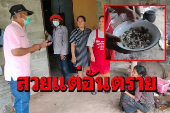 ยายเห็นเห็ดสีสันสวยงาม​ไม่รู้มีพิษ​เก็บมาทำน้ำพริกกินกับสามี​ตกดึกถูกหามส่ง รพ.