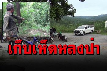 ชายวัย44ปีหลงป่า! ขึ้นเก็บเห็ดบนยอดเขาพุเดื่อ ญาติทำพิธีเบิกป่าเชื่อผีบังตา