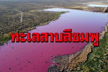 ทะเลสาบอาร์เจนตินากลายเป็น‘สีชมพู’ เหตุสารพิษจากโรงงาน (ชมคลิป)