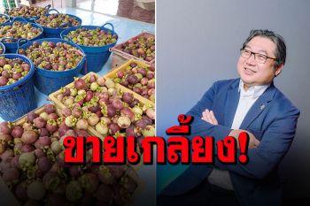 มังคุดใต้ขายดี! พรรคกล้าซื้อเพิ่มอีก 5 พันกิโล เตรียมไลฟ์สดขายผ่านเพจ KLA-Party 10 ส.ค.