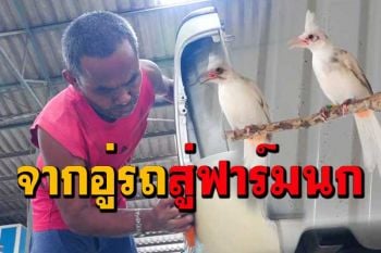 ไม่มีรถมาซ่อม! เจ้าของอู่รถเกาะสมุยหันเปิดฟาร์มนกปรอดหัวโขนสร้างรายได้