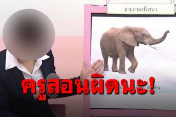 วิจารณ์สนั่น! ครูสอนออนไลน์เรียกชื่อสัตว์ผิด วัดพระแก้วแต่ใช้รูปโบสถ์ในกรุงวาติกัน