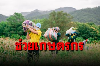 ทหารช่วยเกษตรกรรับซื้อ \'ข้าวโพดหวาน\' มอบให้กำลังพลยามวิกฤตโควิด