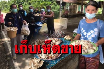 ชาวบ้านชุนชนบ้านถิ่น แห่เข้าป่าเก็บเห็ดขายสร้างรายได้ช่วงโควิด