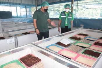 \'เกษตรกรวันหยุด\' Young Smart Farmer สสก.1 จ.ชัยนาท สร้างฟาร์มครบวงจร แปรรูปจิ้งหรีดสร้างมูลค่าเพิ่ม