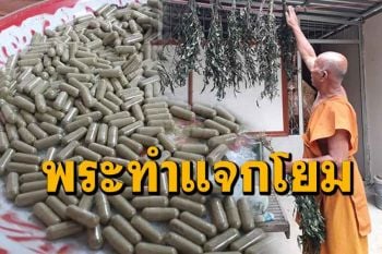 \'หลวงพ่อวัดจอมแจ้ง\'เมืองเลยกับพระลูกวัดช่วยกันผลิตสมุนไพรฟ้าทะลายโจรแจกโยม