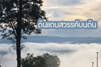 งดงามราวสรวงสวรรค์ทะเลหมอก ‘ภูค้อ’ บรรยากาศที่ นทท.อยากสัมผัส