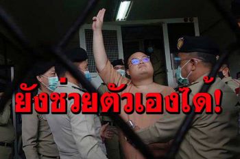 \'เพนกวิน\'พร้อมพวกติดโควิด ทุกคนสัญญาณชีพดี แพทย์ยันรักษาตามมาตรฐานทุกคน
