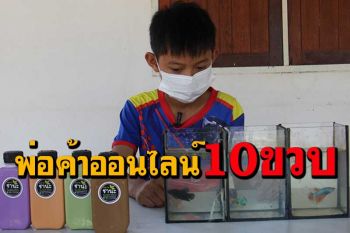 เด็กสวนผึ้งวัย 10 ขวบไลฬ์สดขายปลากัดมีรายได้สัปดาห์ละ 1,000 บาท