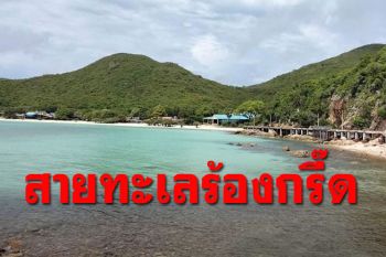 \'เกาะล้าน\'คลายล็อก1ก.ย. กำชับนทท.ควบคุมมาตรการเข้มโควิด
