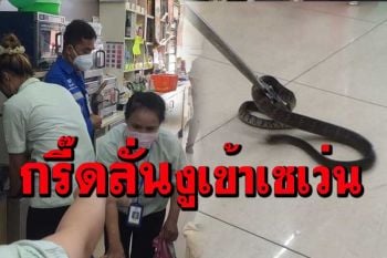 งูสิงยาวกว่า 1 เมตรเลื้อยเข้าร้านเซเว่นฯ พนักงานหนุ่ม-สาวพากันวิ่งหนีกระเจิง