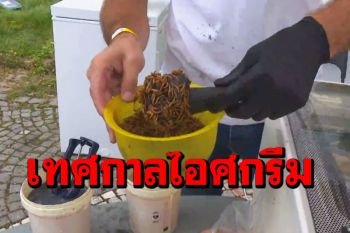 บุก‘เทศกาลไอศกรีม’ปราก ส่องไอศกรีมแมลง-ผสมเหล้า (ชมคลิป)