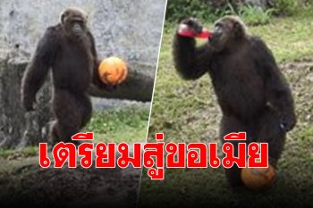 ‘เจ้าจ้อน’ ออกกำลังกายฟิตหุ่นเตรียมหาคู่ หลังโสดมาหลายปี