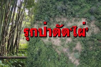 ‘ป่าไม้กาญจน์’ลุยตรวจพื้นที่ พบรุกอุทยานฯตัด‘ไผ่’ เช็คแล้ว 2 จุดเนื้อที่รวมกว่า 50 ไร่