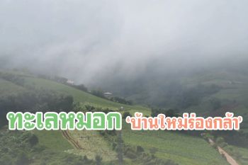 สวยเกินต้าน! ‘ทะเลหมอก’ ทักทาย นทท.ยามเช้าที่ ‘บ้านใหม่ร่องกล้า’ พิษณุโลก