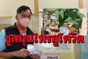 \'บิ๊กแจ๊ส\' ชูสมุนไพรไทยทางเลือกเสริมภูมิคุ้มกันสู้โควิด แนะ สธ.เปิดใจยอมรับ