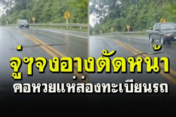 ฮือฮา! จงอางยักษ์เลื้อยตัดหน้ารถรองอธิการฯ คอหวยแห่ส่องทะเบียน