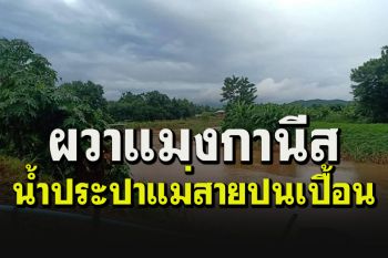 หวั่นน้ำประปาแม่สายปนเปื้อน หลังเครือข่ายว้าเตรียมผุดโรงแต่งแร่ริมน้ำรวก